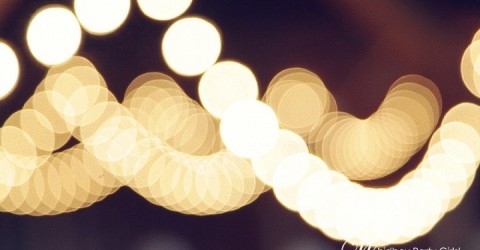 Winter Wedding on Whidbey
